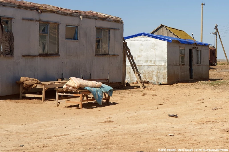 Oʻzbekistonda 1,5 mln nafar aholi kambagʻallikdan chiqariladi