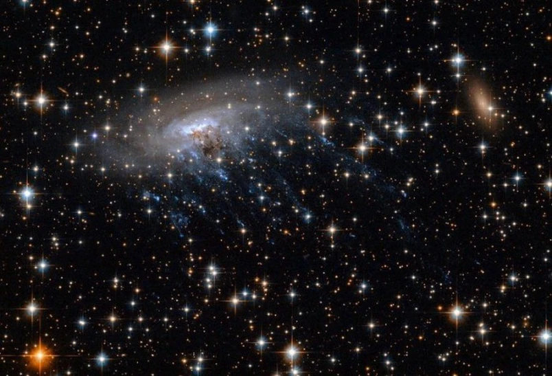 Yerga oʻzga sayyoraliklar yaqinlashmoqda — garvardlik astrofiziklar