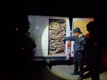 В Каракалпакстане задержали мужчину за незаконную вырубку саксаула